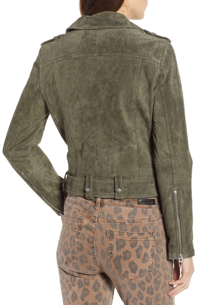 Blanknyc Suede Moto Jacket In Herb