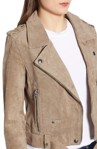 Shop Blanknyc Morning Suede Moto Jacket In French Taupe