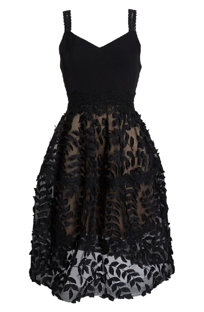Shop Bronx And Banco Saba Corset Dress In Black