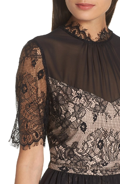 Shop Avec Les Filles Lace Bodice Tea Length Dress In Black/ Nude