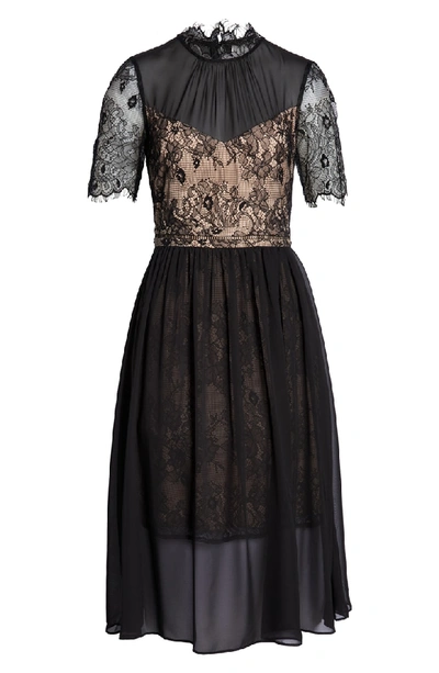 Shop Avec Les Filles Lace Bodice Tea Length Dress In Black/ Nude