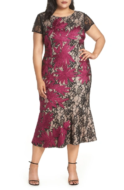 Shop Js Collections Two Tone Embroidered Lace Dress In Black/ Magenta