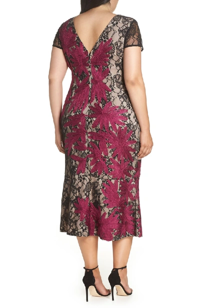 Shop Js Collections Two Tone Embroidered Lace Dress In Black/ Magenta