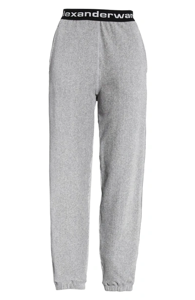Shop Alexander Wang T Logo Stripe Corduroy Pants In Heather Grey