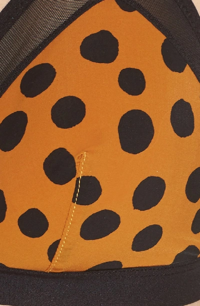 Shop Madewell Micro Mesh Bralette In Leopard Dot