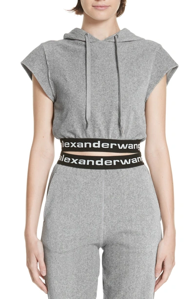 Shop Alexander Wang T Logo Stripe Crop Corduroy Top In Heather Grey