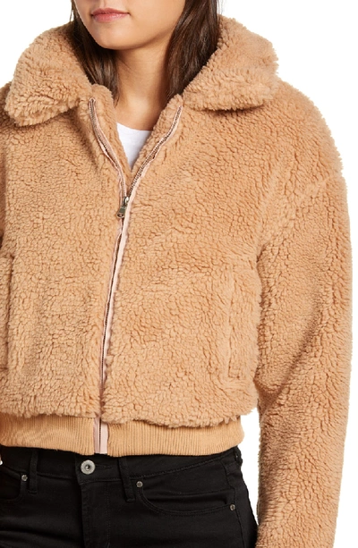 Tiger Mist Teddy Jacket In Brown