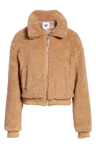 Tiger Mist Teddy Jacket In Brown