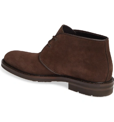 Shop Aquatalia Rinaldo Chukka Water Resistant Boot In Brown