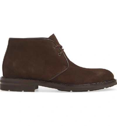 Shop Aquatalia Rinaldo Chukka Water Resistant Boot In Brown