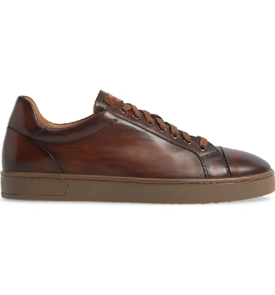 Shop Magnanni Caitin Sneaker In Tabaco Leather