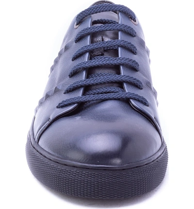 Shop Zanzara Strozzi Studded Sneaker In Navy Leather