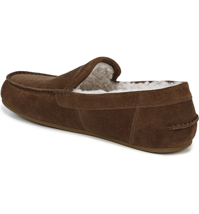 Shop Vince Gino Genuine Shearling Slipper In Bark