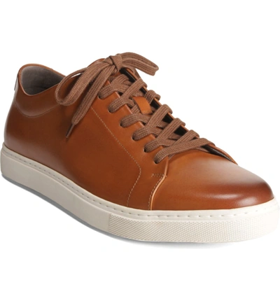 Shop Allen Edmonds Canal Court Sneaker In Walnut/ White Leather