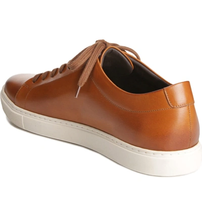 Shop Allen Edmonds Canal Court Sneaker In Walnut/ White Leather