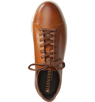 Shop Allen Edmonds Canal Court Sneaker In Walnut/ White Leather