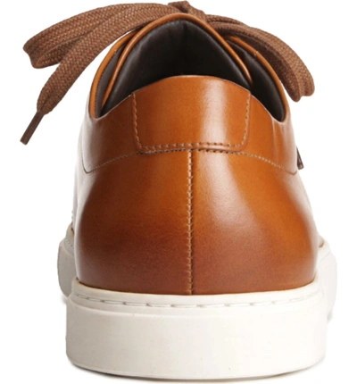 Shop Allen Edmonds Canal Court Sneaker In Walnut/ White Leather