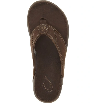 Shop Olukai 'nui' Leather Flip Flop In Seal Brown/ Seal Brown
