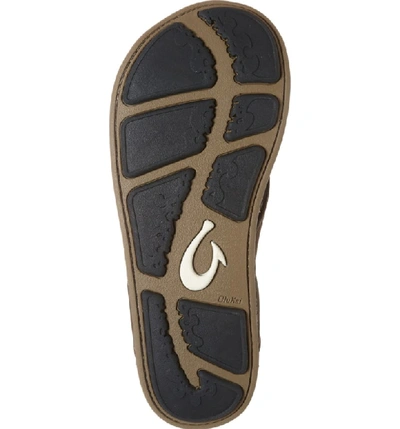 Shop Olukai 'nui' Leather Flip Flop In Seal Brown/ Seal Brown