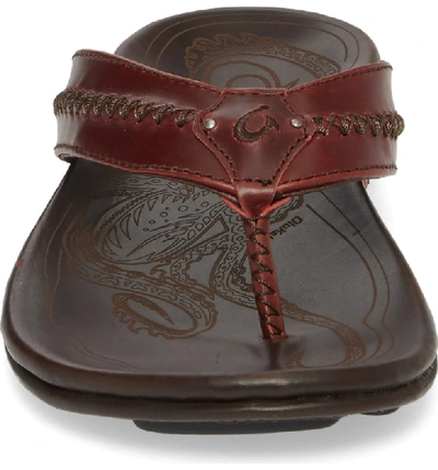 Shop Olukai Mea Ola Flip Flop In Terra/ Dark Wood Leather