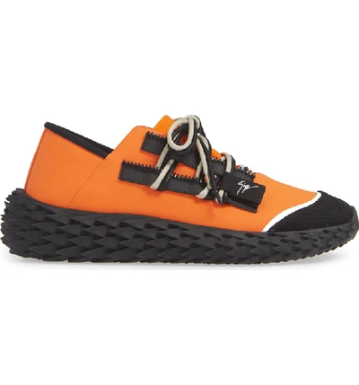 Shop Giuseppe Zanotti Urchin Sneaker In Orange