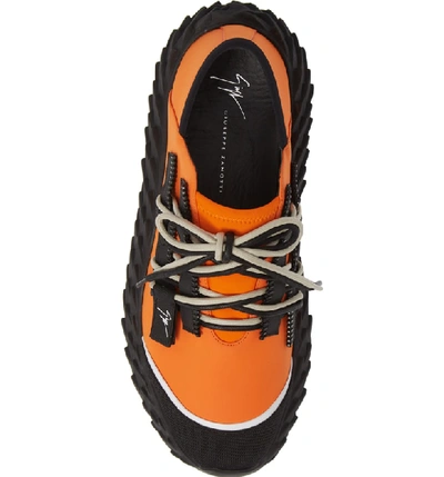 Shop Giuseppe Zanotti Urchin Sneaker In Orange