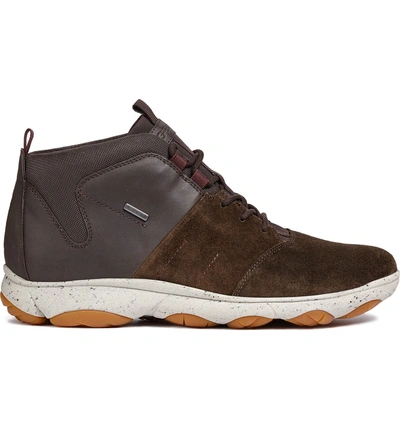 Geox Nebula 4x4 Amphibiox Waterproof Sneaker In Dark Coffee |