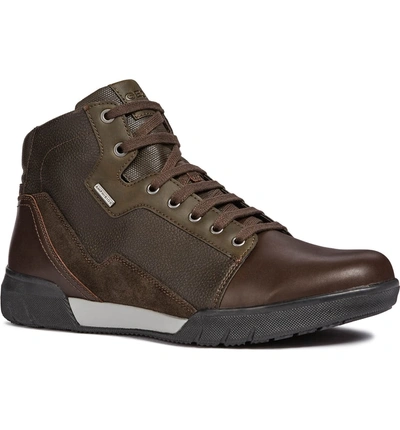 Shop Geox Redward Amphibiox Waterproof Boot In Dark Coffee