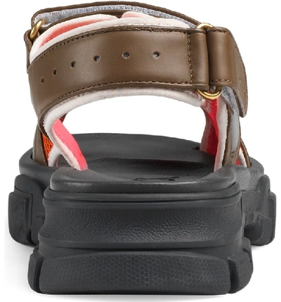 Shop Gucci Agru Sport Sandal In Brown