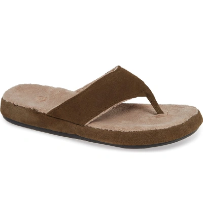 Shop Acorn Flip Flop In Smokey Taupe