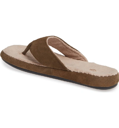 Shop Acorn Flip Flop In Smokey Taupe