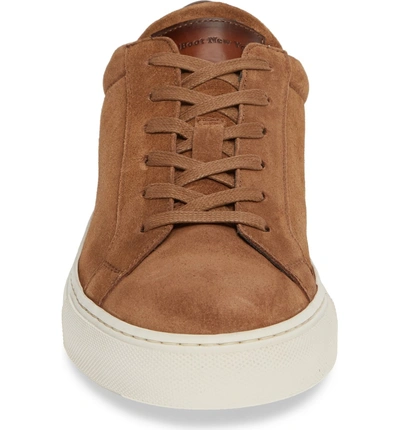 Shop To Boot New York Knox Low Top Sneaker In Rover Brown