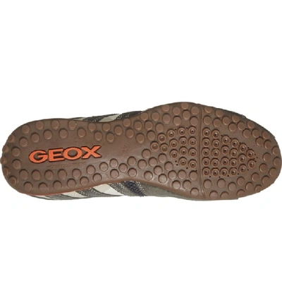 Shop Geox Uomo Snake 94 Sneaker In Dark Grey/ Off White