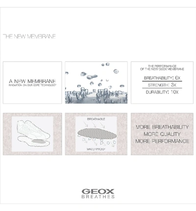Shop Geox Uomo Snake 94 Sneaker In Dark Grey/ Off White