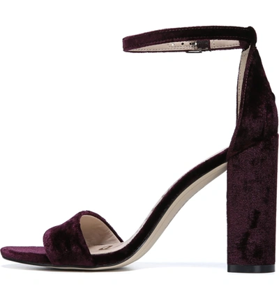 Shop Sam Edelman Yaro Ankle Strap Sandal In Raspberry Wine Velvet