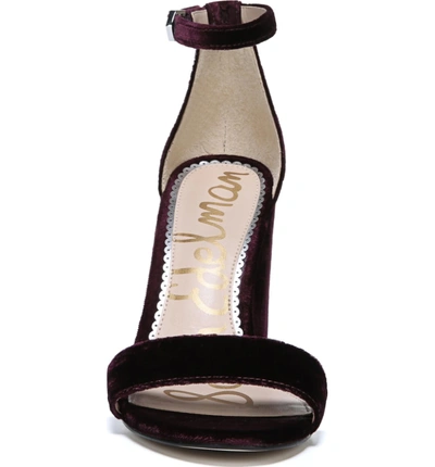 Shop Sam Edelman Yaro Ankle Strap Sandal In Raspberry Wine Velvet