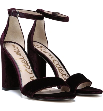 Shop Sam Edelman Yaro Ankle Strap Sandal In Raspberry Wine Velvet