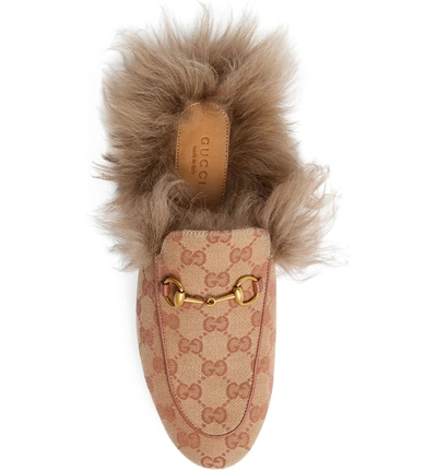 Shop Gucci Princetown Genuine Shearling Logo Mule In Beige