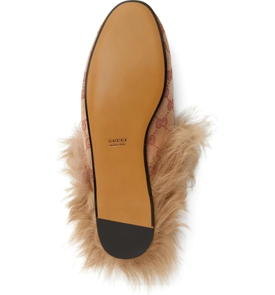 Shop Gucci Princetown Genuine Shearling Logo Mule In Beige