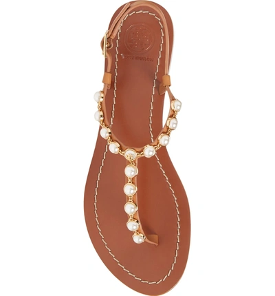 Shop Tory Burch Emmy Embellished T-strap Sandal In Tan