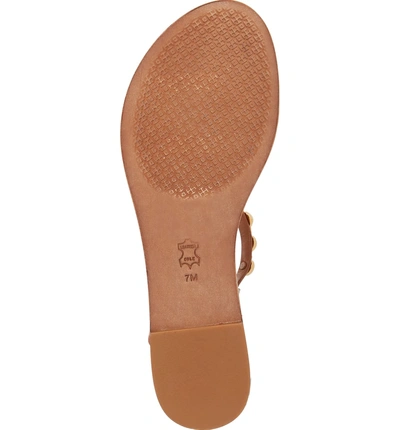 Shop Tory Burch Emmy Embellished T-strap Sandal In Tan