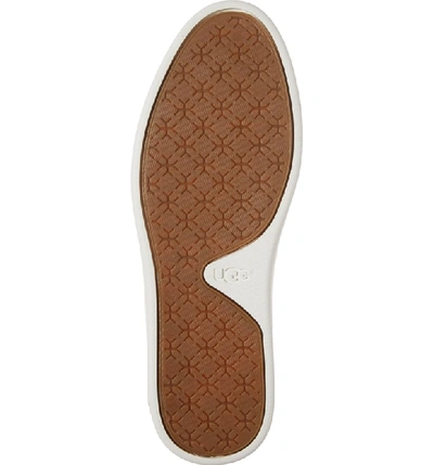 Shop Ugg Sammy Sneaker In Slate Fabric
