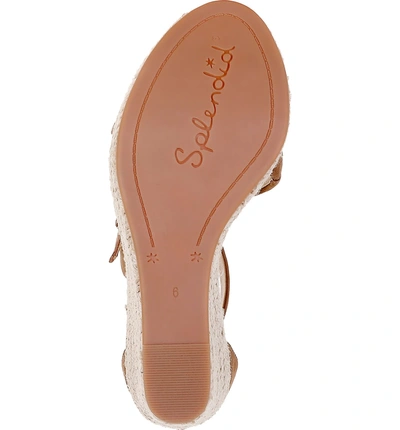 Shop Splendid Stormi Platform Wedge Sandal In Latte Brown Suede