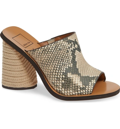 Shop Dolce Vita Alba Braided Heel Mule Sandal In Beige Snake Print Leather