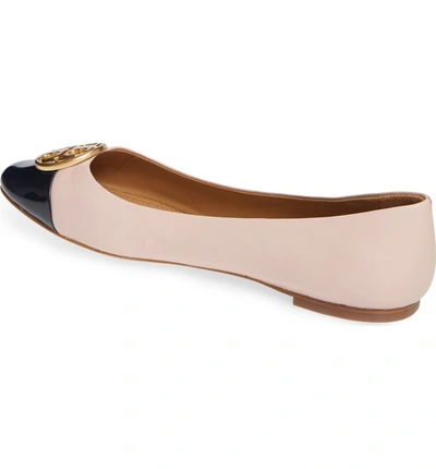 Shop Tory Burch Chelsea Cap Toe Ballet Flat In Sea Shell Pink / Perfect Navy