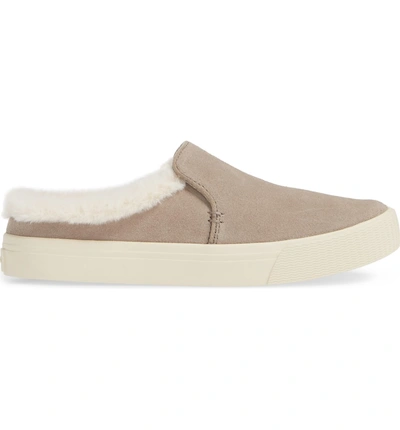 Shop Toms Sunrise Faux Fur Lined Slip-on Sneaker In Desert Taupe Suede