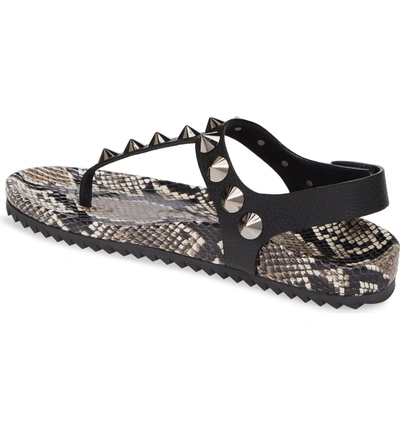 Shop Pedro Garcia Athena Spike Thong Sandal In Black Snakeskin