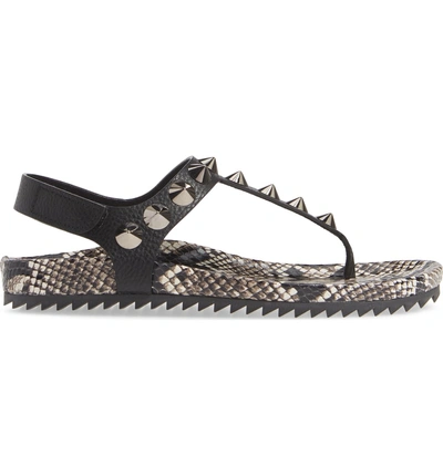 Shop Pedro Garcia Athena Spike Thong Sandal In Black Snakeskin