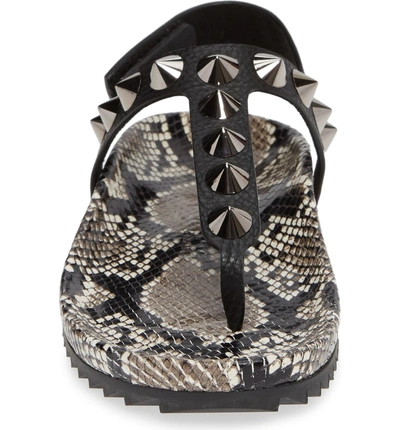 Shop Pedro Garcia Athena Spike Thong Sandal In Black Snakeskin
