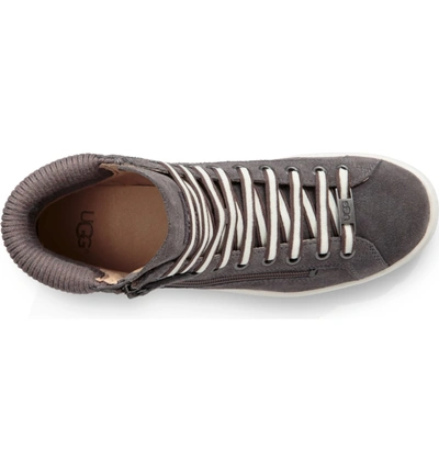 Shop Ugg Olive High Top Sneaker In Charcoal